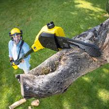 Lawn Maintenance Plans in Lincolnton, GA